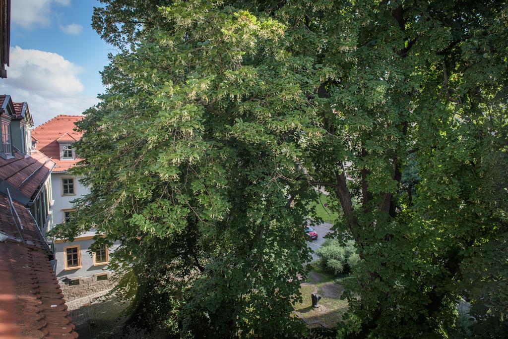 "Goethezimmer" Ferienwohnung Und Zimmer Am Burgplatz Weimar  Buitenkant foto